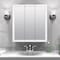 Zenith Products Zenna Home 26 in. H X 24 in. W X 4.5 in. D Rectangle Medicine Cabinet W24 - alternate 3
